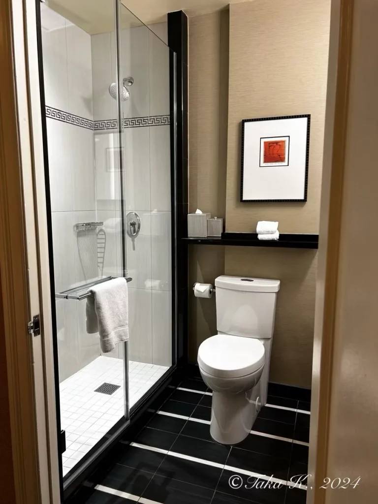 The Algonquin Hotel Bathroom