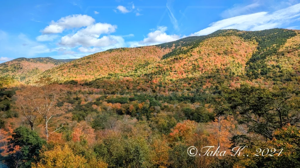 Mountaineer Scenic