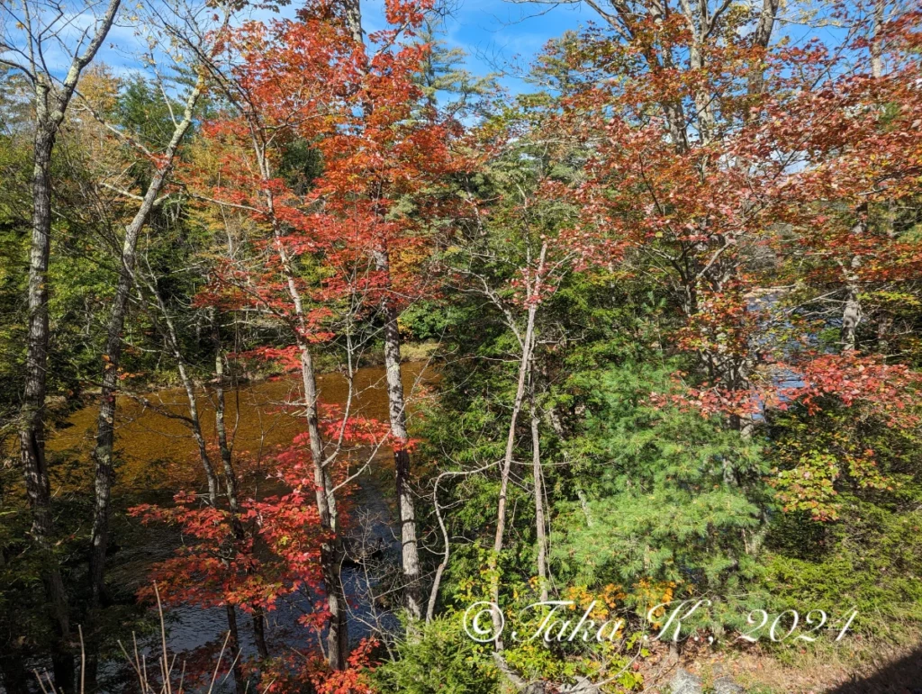 Mountaineer Scenic River