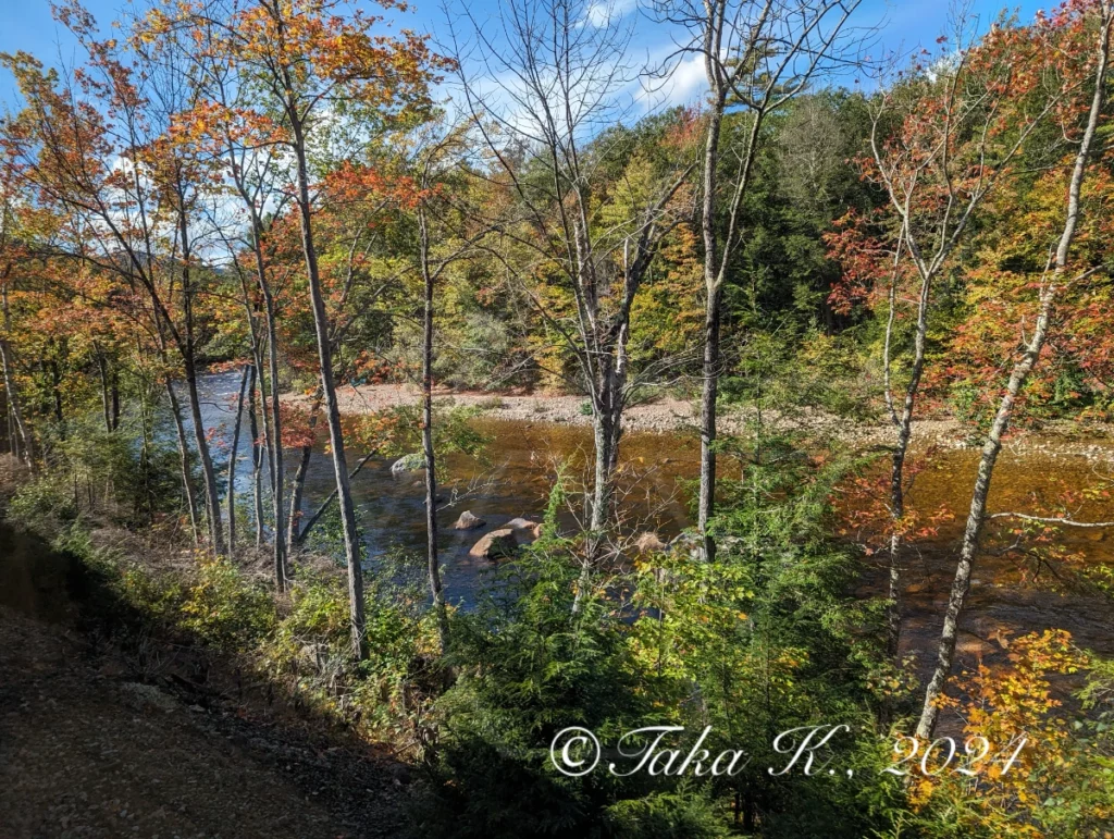 Mountaineer Scenic River