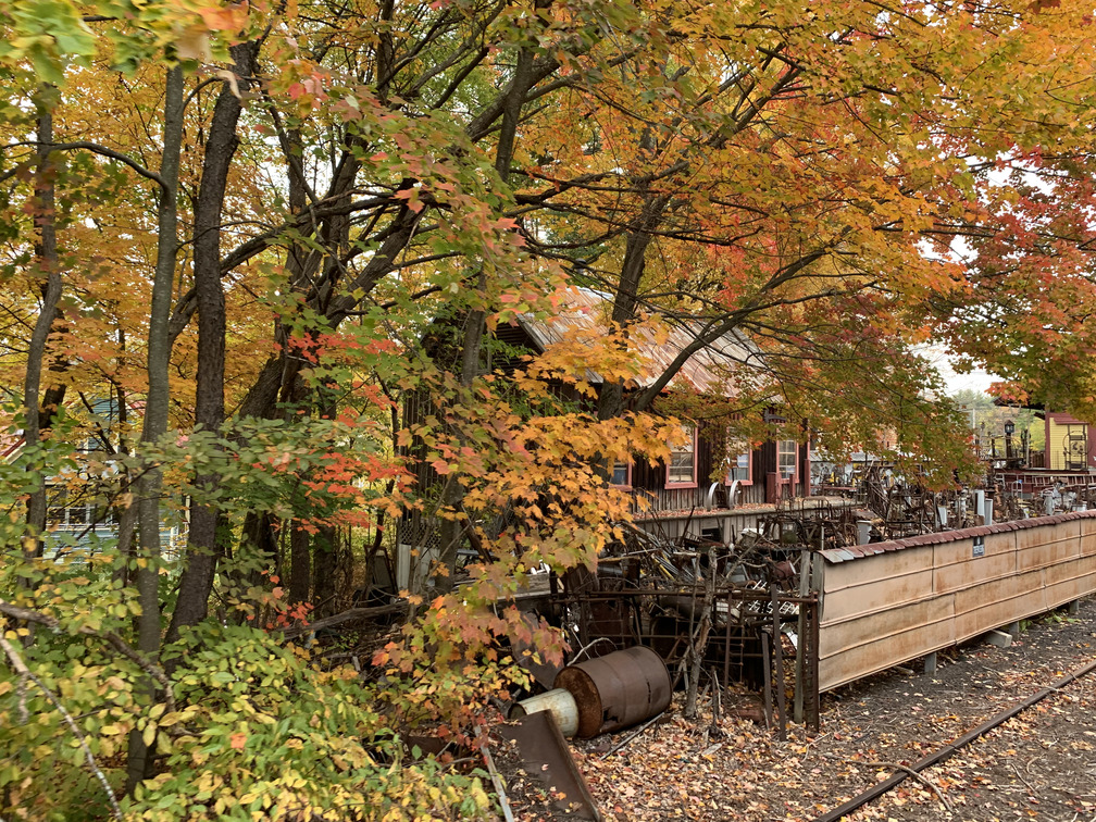 Fall Foliage Train View